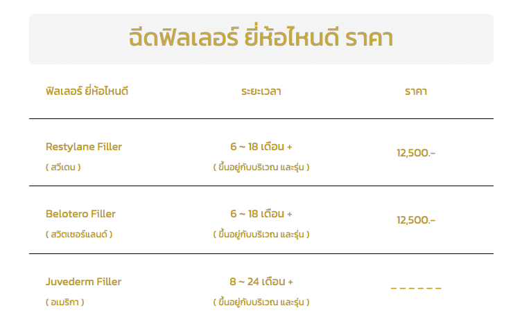 ฟิลเลอร์ ยี่ห้อไหนดี ราคา