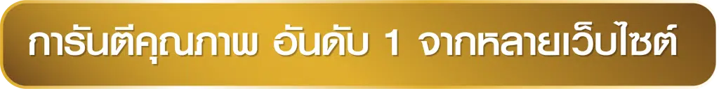 This image has an empty alt attribute; its file name is %E0%B8%81%E0%B8%B2%E0%B8%A3%E0%B8%B1%E0%B8%99%E0%B8%95%E0%B8%B5-1024x128.png